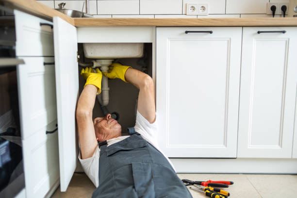 Best Plumbing Services Near Me  in North Highlands, CA